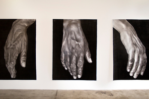 Hand Cycle III by Melissa Coote, at the Fox/Jensen Gallery. Photo / Steven McNicholl