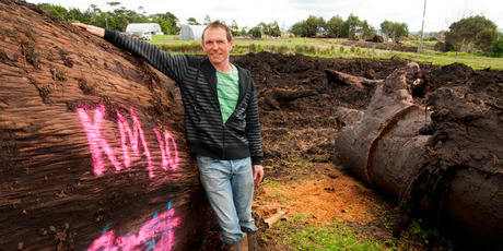 Bruce Tucker with the kauri from his farm. Photo / Malcolm Pullman
