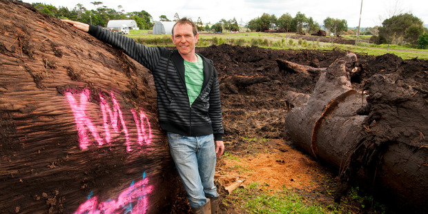 Bruce Tucker with the kauri from his farm. Photo / Malcolm Pullman