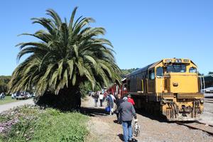 The Endeavor Train in Gisborne minutes before she leaves for the return journey to Napier. Photo / Alastair Gray