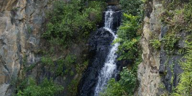 The Atlantic Forest in Brazil does not get the publicity of its Amazonian counterpart yet its place in the scheme of life is just as important because of the sheer density of species found here.