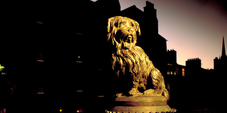 Greyfriars Bobby, who remained on his master's grave for 14 years. Photo / British Tourist Authority