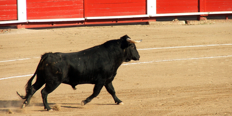 Once championed by the likes of Ernest Hemingway and Pablo Picasso, the bloody pastime of bullfighting has suffered a decline in popularity in recession-hit Spain. Photo / Thinkstock
