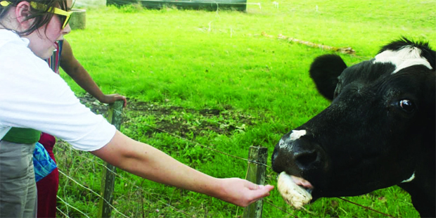 The Federated Farmers' Farm Day allows city folk a taste of rural life. Photo / Supplied