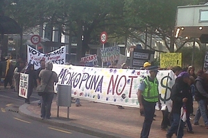 Protestors in Wellington today. Photo / Adam Bennett