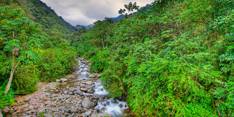 An increase in economic activity and tourism in Peru's Manu region has led to a dramatic rise in the number of reported sightings of the Mashco-Piro people. Photo / Thinkstock