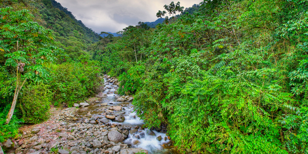 An increase in economic activity and tourism in Peru's Manu region has led to a dramatic rise in the number of reported sightings of the Mashco-Piro people. Photo / Thinkstock