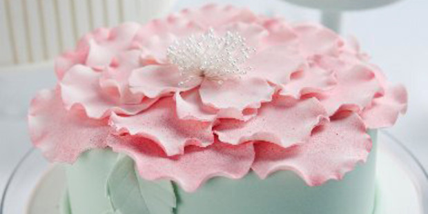 In full bloom from new book Cakestar by Jade Lipton. Photo / Paul Giggle