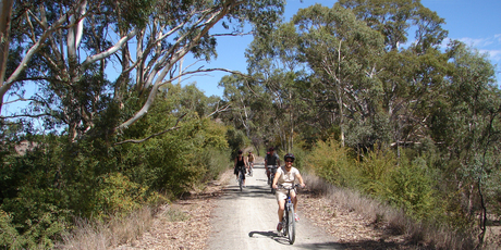 Cyclists on the Riesling Trail in South Australia's Clare Valley. Photo / AAP