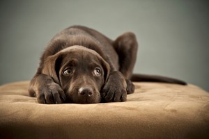 File photo / Thinkstock