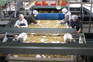 Organic fruit and vegetables sell at a premium because of higher overgeads. Photo / APN