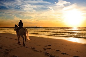 Travelling with a riding companion adds an extra dimension to your destination. Photo / Thinkstock