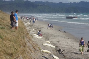 A crowd gathers to look at the containers and milk powder washed up at Waihi Beach from the Rena. Photo / Todd Ranson