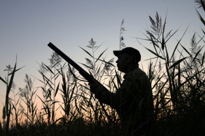 The duck shooting season has gotten off to a rocky start. Photo / Thinkstock