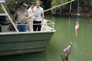 The inmates at Hartley's Crocodile Adventures appreciate a bit of easy meat. Photo / Supplied