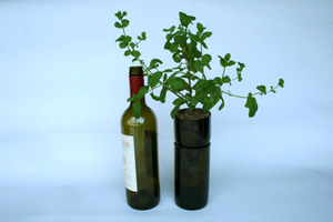 This self-watering herb planter was made out of an old wine bottle. Photo / Chris Cochrane
