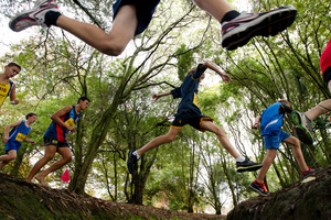 The Junior boys in action during the Auckland Secondary Schools Zonal Cross Country Championships. Photo / Brett Phibbs