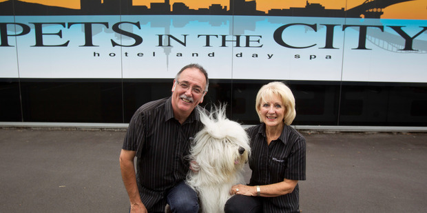 Rob Ellis and Carole Ellis, owners of Pets in the City Hotel and Day Spa in Mt Wellington, Auckland. Photo / NZ Herald