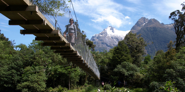 One of the Hollyford track's shorter swing bridges: the longest spans 100 metres. Photo / Pamela Wade