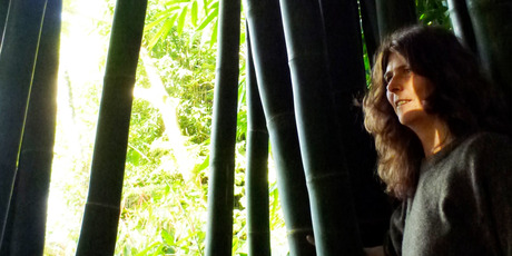 Giant bamboo and palms are just some of the many plant species at Landsendt garden. Photo / Meg Liptrot
