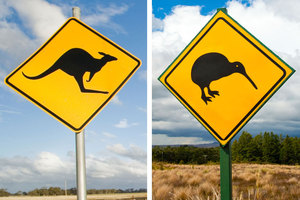 While thousands of Kiwis flock to Oz, there's a handful making the opposite journey. Photo / Thinkstock