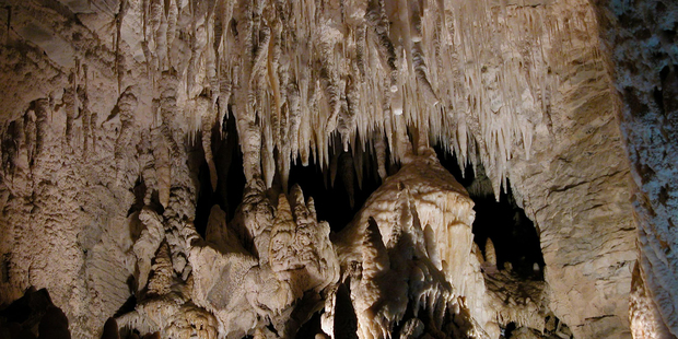 Stalactites hang into the cave like like tapering organ pipes. Photo / Ruakuri Cave, Waitomo