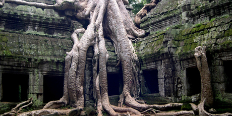 The jungle temple of Angkor, Cambodia, are not to be missed. Photo / Jim Eagles
