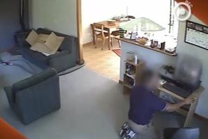 A carpet cleaner has been fired for what he did on the job. Photo / TV3