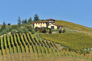 Redoubt Hill owner Daniel Jackson is selling his vineyard and wine label. Photo / Supplied