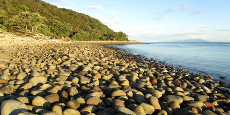 Boulder beach on Hauturu (Little Barrier Island). Photo / Cliff Taylor