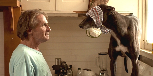 Actor Mick Innes plays oddball trainer Marty in TV3 series Hounds. Photo / Supplied