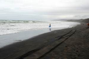 The skeletal remains were found on Sunset Beach in Port Waikato on Saturday morning. Photo / Janna Dixon