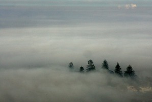 Flights have been affected by fog in Auckland this morning. File photo / Paul Estcourt