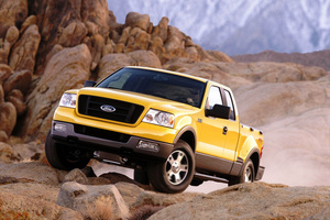 2004 Ford F-150. Photo / Supplied