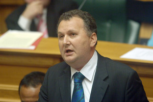 Labour MP Shane Jones, who has been stood down, says he's the victim of a media witchhunt. Photo / NZPA