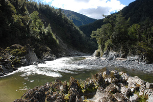 The Mokihinui dam would have created a lake 14km long and helped shore up power supply on the West Coast. Photo / Supplied