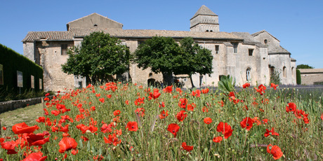 Fields of poppies behind St Paul de Mausole in St Remy de Provence, where Vincent van Gogh was a patient. Photo / Jim Eagles