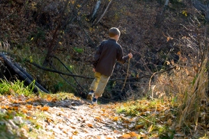 A group of orienteering students went missing in the Kaimai range tonight. Photo / Thinkstock