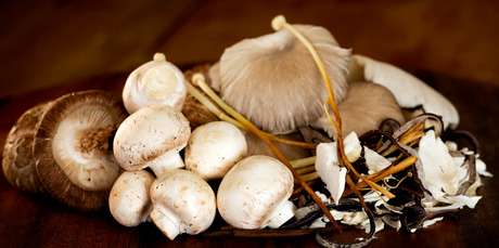 A variety of mushroom types means a range of meal ideas are available for you to try. Photo / Babiche Martens