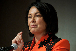 MP Hekia Parata. Photo / NZ Herald