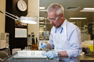 Pathologist Ian Beer says more mistakes are likely as long as tight deadlines remain in place. Photo / Stephen Barker