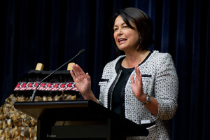 Education Minister Hekia Parata. Photo / Brett Phibbs