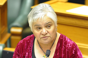 Tariana Turia backs scolding smokers driving with children. Photo / Ross Setford
