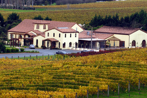 Ascension Wine Estate at Matakana. Photo / Supplied