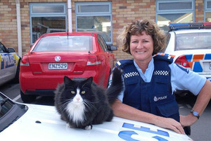 Purrfect: Quake refugee Penny, also known as Bobby, with Constable Pamela Cox.