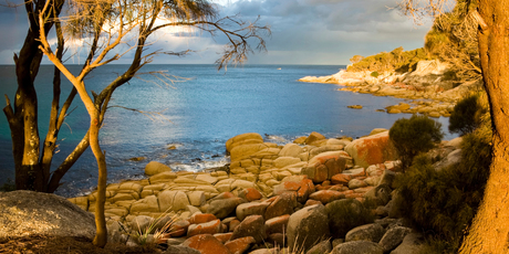 Tasmania's Bay of Fires. Photo / Thinkstock