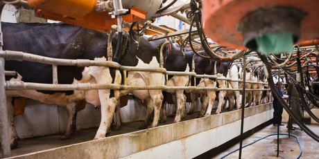Agribusiness is fundamental to the country's economy. Photo / Thinkstock