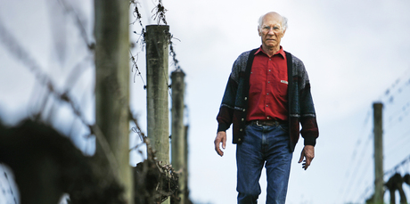 Peter Babich, owner of Babich wines. Photo / The Aucklander