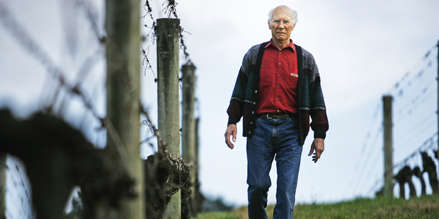 Peter Babich, owner of Babich wines. Photo / The Aucklander