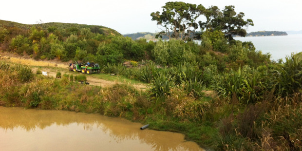 Volunteers on Rotoroa Island for wetland planting. Photo / Supplied